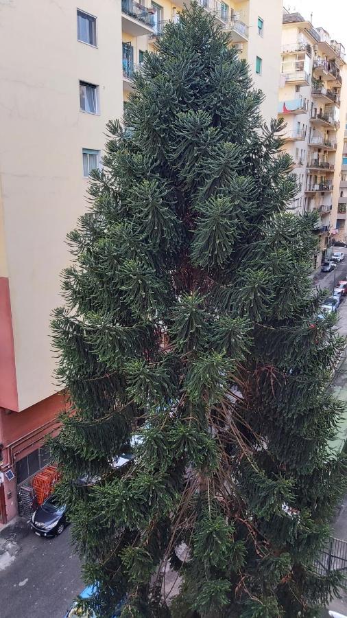 La Casa Del Cedro Apartman Nápoly Kültér fotó