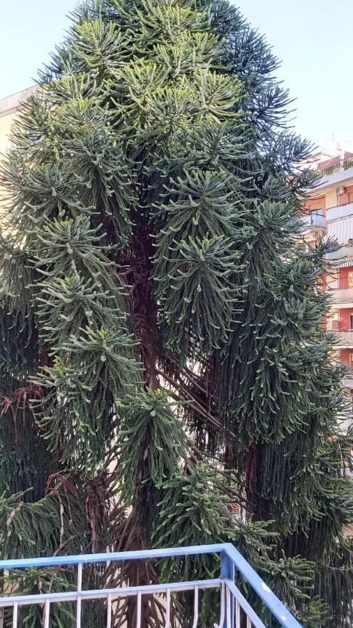 La Casa Del Cedro Apartman Nápoly Kültér fotó